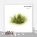 Swamp Tuft