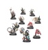 Destruction Warbands: Gitz and Goliaths (предзаказ 2025)