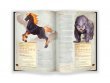 Dungeons & Dragons:  Энциклопедия чудовищ