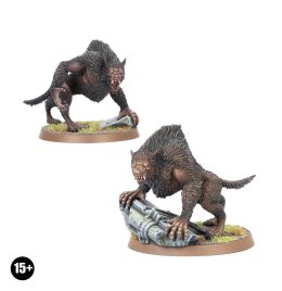 Werewolves of Angmar™ (предзаказ 2024, GW Direct)