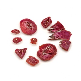 Молд метки хаоса тип 1, размер S, MiniWarPaint