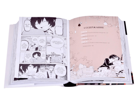 Проза бродячих псов. Том 4