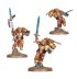 Sanguinary Guard 2024