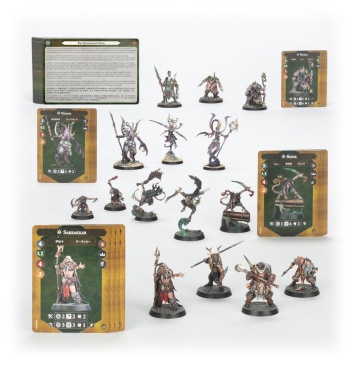 Chaos Warbands: Reavers of Ruin (предзаказ 2025)