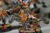 Warhammer Age of Sigmar Fyreslayers Vulkite Berzerkers x10 (99120205015) (Painted)
