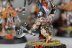 Warhammer Age of Sigmar Fyreslayers Vulkite Berzerkers x10 (99120205015) (Painted)
