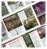 White Dwarf 451