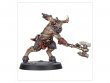 Kill Team: Fellgor Ravagers (предзаказ 2023)