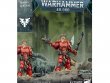 Blood Angels Captain