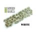 Shrubs Tufts - White