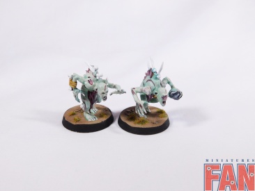 Warhammer Age Of Sigmar Flesh-Eater Courts Crypt Ghouls x10 (Pro-Painted)
