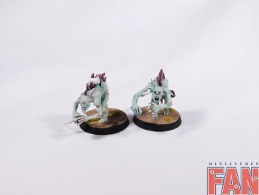 Warhammer Age Of Sigmar Flesh-Eater Courts Crypt Ghouls x10 (Pro-Painted)