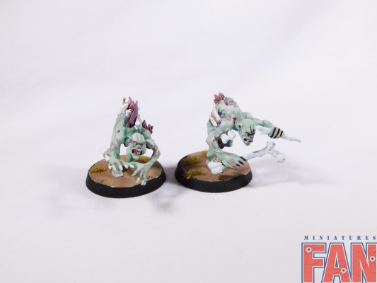 Warhammer Age Of Sigmar Flesh-Eater Courts Crypt Ghouls x10 (Pro-Painted)
