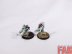 Warhammer Age Of Sigmar Flesh-Eater Courts Crypt Ghouls x10 (Pro-Painted)
