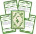 Dungeons &amp; Dragons: Карты заклинаний: Друид