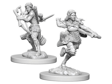 D&D Nolzur's Marvelous Miniatures: Air Genasi Rogue