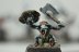 Warhammer Fantasy Battles Ogre Kingdoms Gnoblars #1 х23 (Painted)