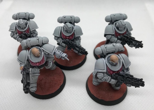 Warhammer 40k Space Marines Primaris Intercessors x5 (Pro-Painted)
