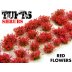 Shrubs Tufts - Red