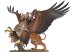 Freeguild General on Griffon / Karl Franz On Deathclaw