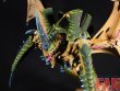 Warhammer 40k Tyranid Hive Tyrant (Pro-Painted)