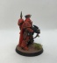 Warhammer 40k Blood Angels Primaris Captain (Pro-Painted)