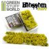Blossom Tufts - Yellow Flowers