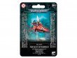 Farseer Skyrunner / Warlock Skyrunner (Warhammer 40k)
