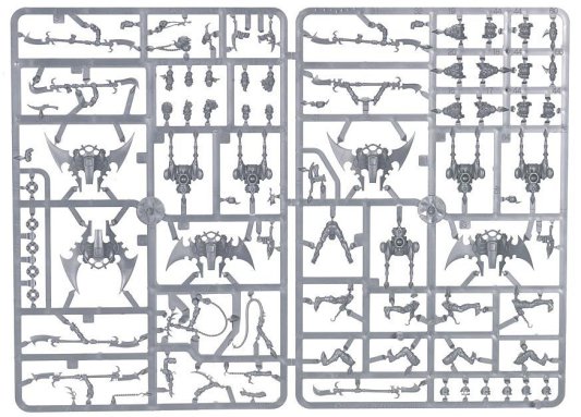Dark Eldar Hellions 2010