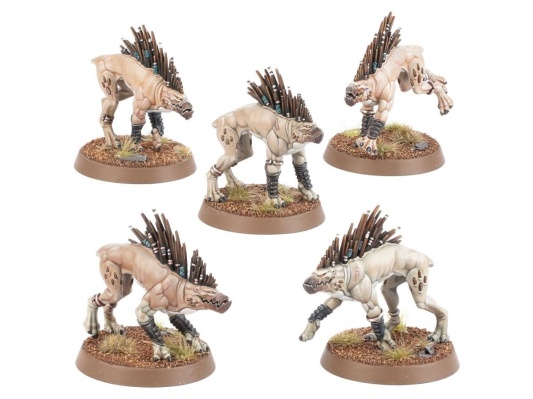 Kroot Hounds (Warhammer 40k, Tau Empire)