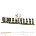 Napoleonic Spanish Infantry (2nd &amp; 3rd Battalions) 1805-1811