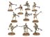 Kroot Carnivores (Warhammer 40k, Tau Empire)