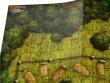 Pathfinder. НРИ. Вторая редакция. Игровое поле "Корона короля кобольдов"