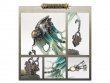 Ethereal Court (предзаказ 2024, Age of Sigmar)