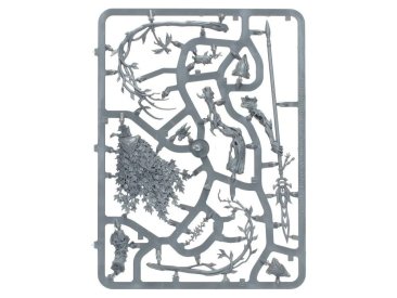 The Lady of Vines (предзаказ 2025, GW Direct, Age of Sigmar)