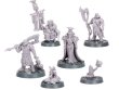 Mercator Pallidus Corpse Harvesting Party (предзаказ, GW Direct)