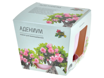 Магия Цветов: Адениум