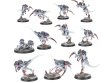Kill Team: Typhon (предзаказ 2025)