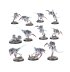 Kill Team: Typhon (предзаказ 2025)