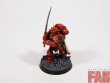 Warhammer 30k / 40k Forge World Blood Angels Praetor (Pro-Painted)