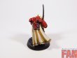 Warhammer 30k / 40k Forge World Blood Angels Praetor (Pro-Painted)