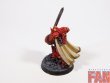 Warhammer 30k / 40k Forge World Blood Angels Praetor (Pro-Painted)