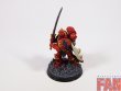 Warhammer 30k / 40k Forge World Blood Angels Praetor (Pro-Painted)