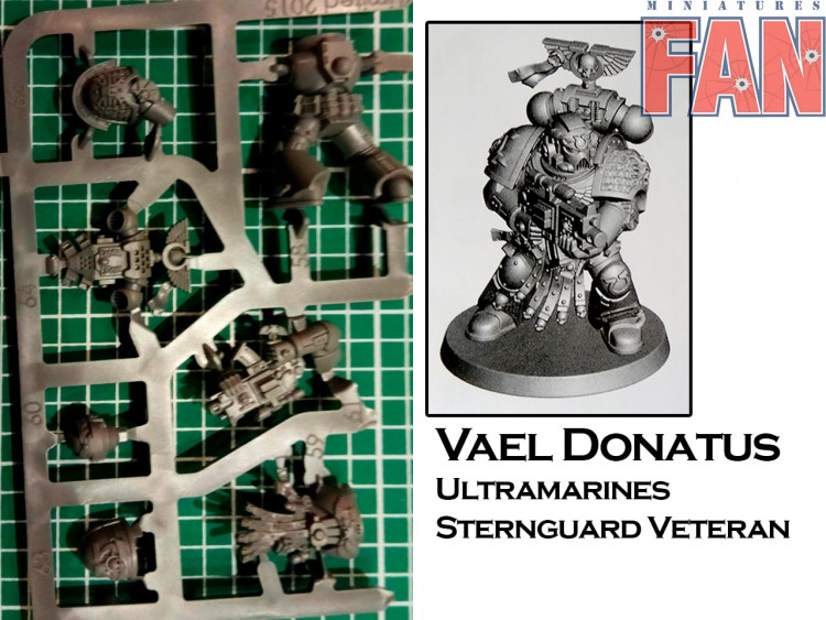 Deathwatch Overkill Vael Donatus, Ultramarines Sternguard Veteran