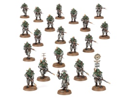 Solar Auxilia Battle Group (The Horus Heresy)