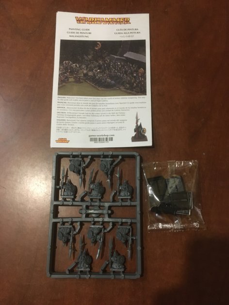 Battle for Skull Pass Night Goblins x10 (Old World)