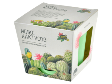 Магия цветов: Микс кактусов