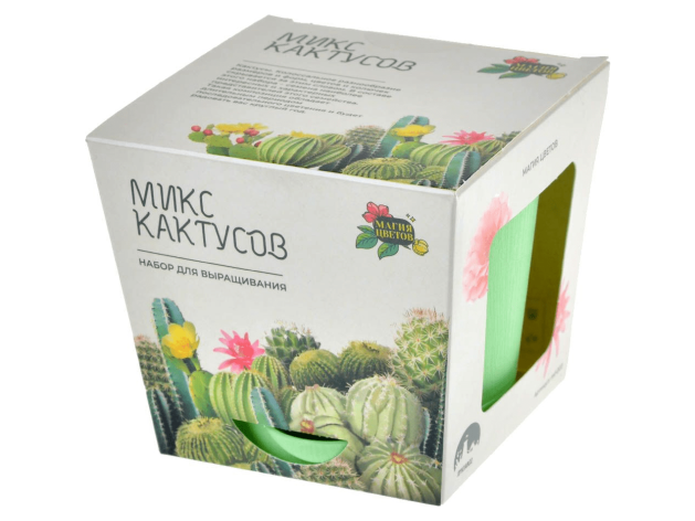Магия цветов: Микс кактусов