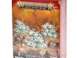 Daemons of Nurgle Nurglings 2017