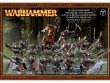 Skaven Stormvermin BOX 2009